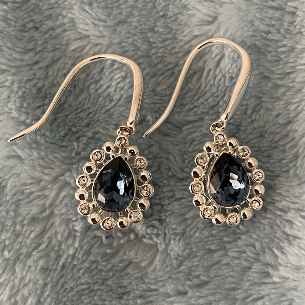 blue and silver earrings